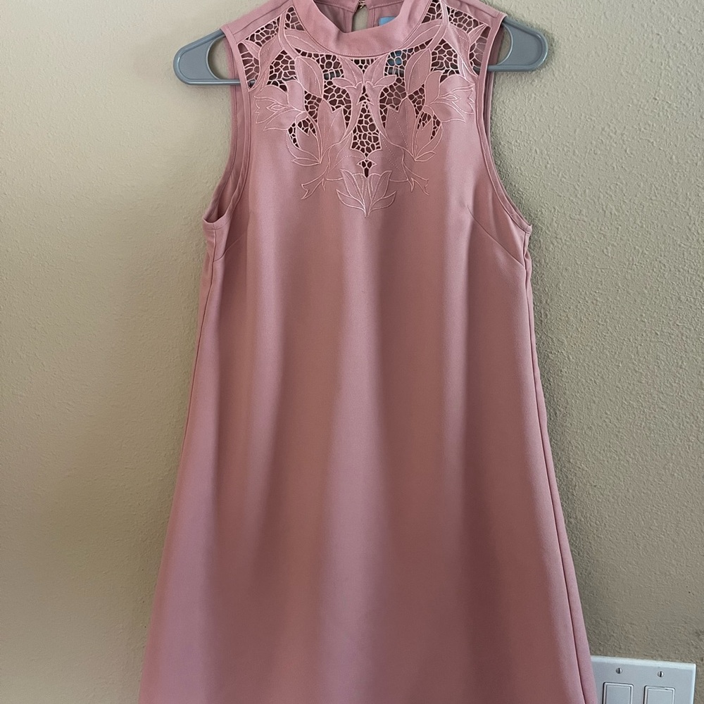 CeCe Blush Sleeveless Mini Dress